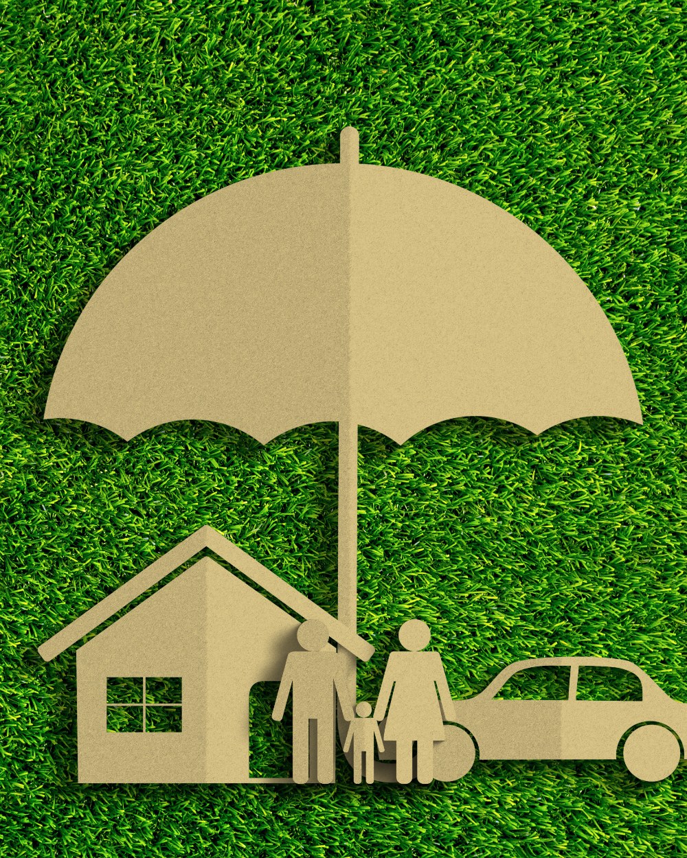 Insurance Planning Solutions | Aspasia Wealth Management